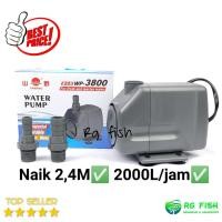 ราคา Yamano wp 3800 ปั๊มบ่อตู้ปลา (27232264491)