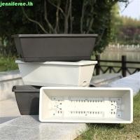 ราคา Jennifera Mung Balck Bean ต้นอ่อนข้าวสาลีถั่วลิสง Greens การงอกกล่องพลาสติก (45257206894)