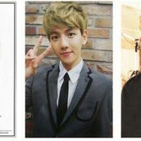 ราคา การ์ด growl แบคฮยอน EXO (1688744443)