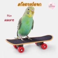 ราคา สเก็ตบอร์ดนก ของเล่นนก สเก็ตบอร์ดจิ๋ว mini ฟอพัส หงษ์หยก แก้ว Bird (22980147828)
