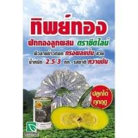 ราคา ทิพย์ทองฟักทองลูกผสม (26601728888)