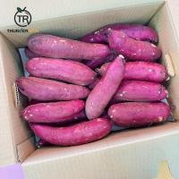 ราคา ส่งฟรี‼️สินค้าเข้าใหม่ 23/10/67‼️Japanese Sweet Potato มันหวานนำเข้าจากประเทศญี่ปุ่น✈️ (27016032660)