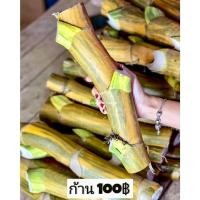 ราคา พลูด่าง, พลูยักษ์, ต้นพลูด่าง, ไม้ด่าง, ใบฉีก, ต้นไม้, บ้าน, ฟอกอากาศ (40769116498)