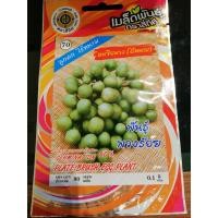 ราคา เมล็ดมะเขือพวง (ไร้หนาม) 80เมล็ด มะเขือพวง พันธุ์ พวงสร้อย บักแข้ง 10 แถม 1 คละได้ เมล็กผัก เมล็ดพันธุ์ (7139302222)