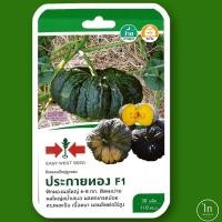ราคา เมล็ดฟักทองผลใหญ่ลูกผสม ประกายทอง F1 (pumpkin) เมล็ดพันธุ์ผัก เมล็ดพันธุ์ เมล็ดพันธุ์พืช ผักสวนครัว ตราศรแดง (5792340423)