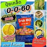 ราคา ปุ๋ยเกล็ด 0-0-60 ขนาด 1 กิโลกรัม ตราตะเกียง (43908284854)