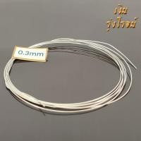 ราคา ลวดเงินแท้ Silver 99.99 0.3mm 0.3มิล บริสุทธิ์ 99.99% (23219288920)