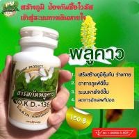 ราคา พลูคาวสกัดเข้มข้นชนิดแคปซูล(คาวตอง)สกัดแบบสเปรย์ดรายฟื้นฟูระบบทางเดินหายใจ หอบหืดไอเรื้อรังจามน้ำมุก (15824382927)