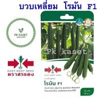 ราคา เมล็ดบวบเหลี่ยม โรมัน F1 ศรแดง ซองแข็ง 25 เมล็ด ผักสวนครัว (3761360881)
