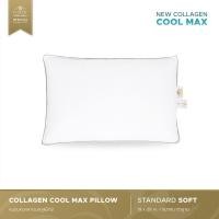 ราคา Luxury หมอนโรงแรม 6 ดาว หมอนคอลลาเจน รุ่น Standard Soft (10891968025)