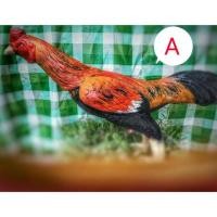 ราคา ไก่ล่อเป้า ไก่นวมยาง อุปกรณ์ออกกำลังกายไก่ชน ใช้ล่อไก่ชนโดยเฉพาะ ราคาย่อมเยา จำหน่ายปลีกและส่ง ราคาส่งเริ่มต้นที่10ตัว (1335493784)