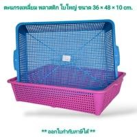 ราคา Small Evting ตะแกรงเหลี่ยม ใบใหญ่ ตะกร้า พลาสติก DMT No.519 ทรงเลี่ยม สีหวาน (22982136197)