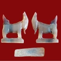 ราคา แพะ จ่าฝูง หลวงพ่อลัด วัดหนองกระบอก จ.ระยอง เขาควายเผือก ฟ้าผ่าตาย สีน้ำ​ผึ้ง​ ขนาดใหญ่ (28703431417)