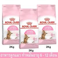 ราคา Royal Canin Kitten Sterilised [2kg x3] รอยัล คานิน อาหารลูกแมวทำหมัน อายุ 6 - 12 เดือน (6356458787)