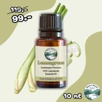 ราคา น้ำมันหอมระเหย 100% กลิ่นตะไคร้บ้าน (Pure Lemongrass Essential Oil) น้ำมันหอมระเหยแท้ ขนาด 10ml (28027955426)