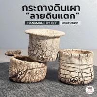 ราคา กระถางดินเผา ลายดินแตก #BPP กระถางต้นไม้ ไม้อวบน้ำ กุหลาบหิน cactus&succulentหลากหลายสายพันธุ์ (29676837304)