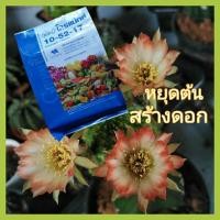 ราคา กิฟฟารีน ปุ๋ย ปุ๋ยเกล็ด ปุ๋ยกิฟฟารีน โกรแม็กซ์ 10-52-17สูตร ฟอสฟอรัสสูง หยุดต้น สร้างดอก พัฒนาราก ดินคุณภาพดี (11454141990)