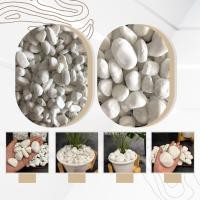 ราคา กรวดขาวบาหลี ขาวไวท์ เบอร์ 1 2 กระสอบละ 10 กิโล หินนำเข้า หินประดับตกแต่ง หินจัดสวน หินกรวด (19432611985)