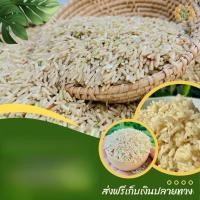 ราคา ข้าวกล้อง กข.43 น้ำตาลต่ำ (ขนาด 5 กิโล) ข้าวใหม่ หอมนุ่ม สำหรับคนรักสุขภาพ (47108283537)
