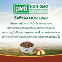 ราคา Kaniva Grain Free Premium Cat Food บรรจุ 2.5kg-2.7kg (43473172026)