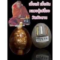ราคา เบี้ยแก้ เบี้ยกัน หลวงปู่เปลื้อง วัดพังดาน จ.พัทลุง บรรจุปรอทน้ำ (29913859661)