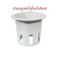 ราคา **แพ็ค100ใบ**ถ้วยปลูกผักไฮโดรโปนิกส์ (ถ้วยพลาสติกสีขาวแข็งแรงใช้ซ้ำได้) (22971073876)