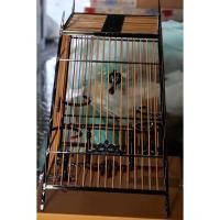 ราคา กรงนก 15 ซี่ สปอร์ต เสาสายฟ้า ไม้ขาวดำ ไผ่ รุ่นแรกประตูแกะ บังยัน (44157766319)