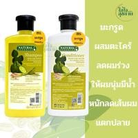 ราคา แชมพู ครีมนวด มะกรูดผสมตะไคร้ ให้ผมนุ่ม ลดผมร่วง ป้องกันผมแตกปลายสำหรับผมมัน (28076343107)