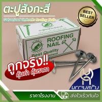 ราคา (1 กล่องเล็ก) ตะปูสังกะสี ตะปูตอกสังกะสี ตะปูหมวก ขนาด 1 3/4 x 13 อย่างดี ตรานายช่าง (28852954853)