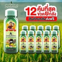 ราคา ยกลัง 12ขวด ปุ๋ย แพนต้าโกรว์ พ่อใหญ่สัมฤทธิ์ คุณสัมฤทธิ์ ปุ๋ยแมกนีเซียมแพนต้าโกรว์ ปุ๋ยน้ำ ขวด 500 ซีซี (28492417577)
