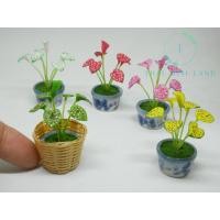 ราคา ต้นบอนสีในกระถาง ต้นไม้มงคล บอนสี บอนสีจิ๋ว ต้นไม้มงคลดินปั้น ต้นบอนสี ต้นบอนสีจิ๋ว ต้นไม้ด่าง ของจิ๋ว ของตกแต่ง (12247527285)