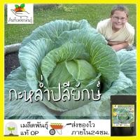 ราคา เมล็ดพันธุ์ กะหล่ำปลียักษ์ 300 เมล็ด Giant Russian Cabbage Seed เมล็ดพันธุ์แท้100% นำเข้าจากต่างประเทศ ปลูกผัก สวนครัว (4046272730)