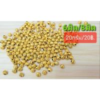 ราคา ลูกปัดเม็ดมะยม20กรัม (20020169624)