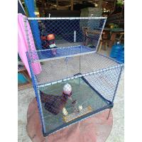 ราคา กรงอนุบาลลูกไก่แม่ไก่ (23533098220)