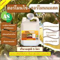 ราคา ฮอร์โมนไข่+นมสด บรรจุ 5 ลิตร เร่งผลดก ผลรสหวาน โตไว (14674835658)