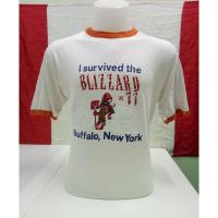 ราคา (SALE) Size; L เสื้อยืดวินเทจ USA งานเก่าแท้ Champion ตอกปี 1977 (4471875359)