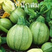 ราคา ซูกินีกลมถูกที่สุด10บ. เมล็ดพันธุ์ซูกินีกลม 3-18 เมล็ดงอกง่ายโตไว☘️ทานอร่อย☘️ลูกดก (25503538542)