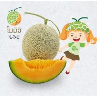 ราคา เมล็ดเมล่อนญี่ปุ่นพันธุ์โมมิจิ 10เมล็ด (5231906353)
