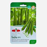 ราคา ศรแดง บวบเหลี่ยม โรมัน (25 เมล็ด) (42408543061)