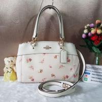 ราคา COACH F28978 MINI BROOKE CARRYALL WITH DAISY BUNDLE PRINT  COLOR: IMITATION GOLD/CHALK MULTI (1366324671)
