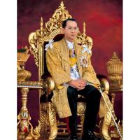 ราคา ภาพประดับบ้าน รูปมงคล พระฉายาลักษณ์ ในหลวง รัชกาลที่ 9 สำหรับใส่กรอบ หรือติดผนัง ขนาด 15x20นิ้ว (24364302500)