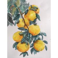 ราคา ภาพวาดส้ม ภาพผลไม้ ภาพมงคลภาพวาดสีน้ำ ขนาดA4 กระดาษร้อยปอนด์ นำไปใส่กรอบ ตกแต่งบ้าน สวยงสม เสรืมมงคล (26404274246)