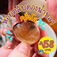 ราคา หอยตลับดองน้ำปลา แซ่บนัว พร้อมกิน | ซีฟู้ดดองยอดฮิต 500 กรัม (50806328468)