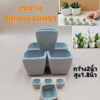 ราคา (แพ็ค2ใบ)กระถางต้นไม้ กระถางตะบองเพชร เซรามิคสีครีมทรงสี่เหลี่ยม (8652125977)