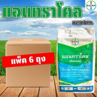 ราคา (แพ็ค 6 ถุง) แอนทราโคล ขนาด 1 ก.ก. Bayer ยากันเชื้อรา สารป้องกันกำจัดโรคพืช (49257748232)