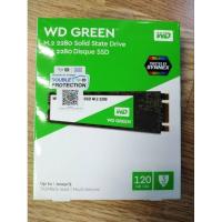 ราคา SSD 120 Gb WD M2 Green ประกัน 3 ปี (4156983884)