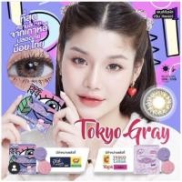 ราคา คอนแทคเลนส์ Tokyo Gray โตเกียว เกร 0.00 - 6.00 ของแท้100% (24872588794)