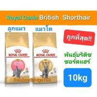 ราคา Royal Canin British Shorthair Kitten 10kg / British Shorthair Adult 10kg อาหารแมวโต ลูกแมวบริติช 10 กก. (21431268602)