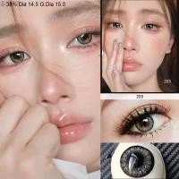 ราคา คอนแทคเลนส์ SweetyPlus รุ่น 203 รายเดือน สายตาปกติ (2663196784)