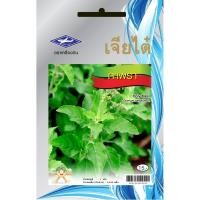 ราคา เมล็ดพันธุ์ ผักกระเพรา เมล็ดพันธุ์เจียไต๋ เมล็ดผัก เมล็ดพันธุ์พืช (28809052035)